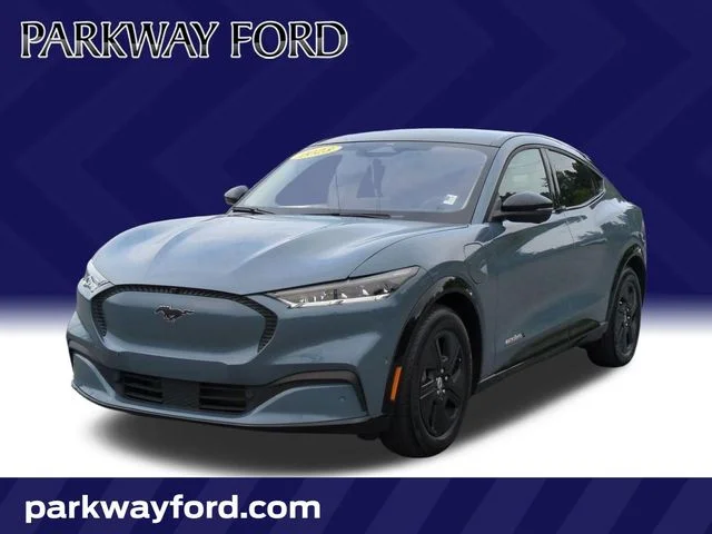 Used 2023 Blue Ford California Route 1 image 1