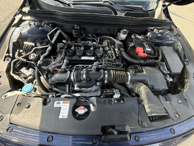 Used 2019 Blue Honda LX image 26