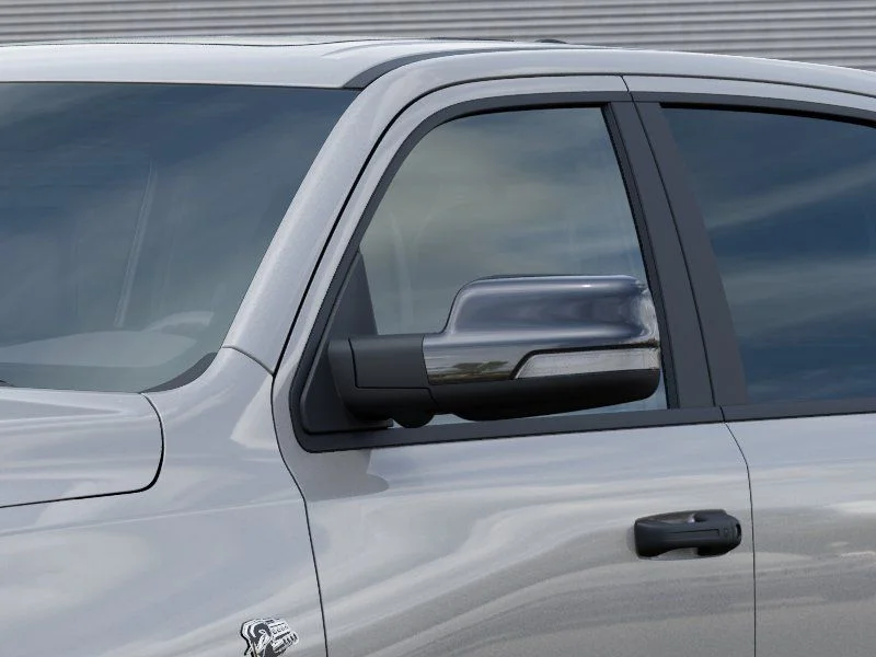 New 2026 Silver Zynith Exterior Paint RAM Rebel image 12