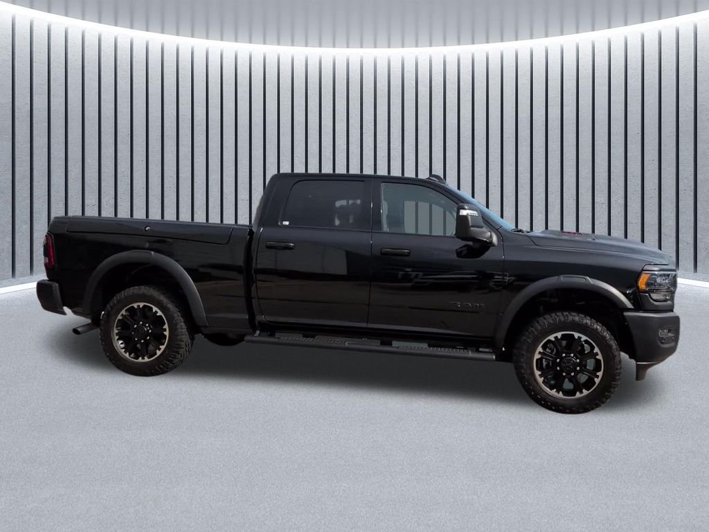 Used 2024 Black Ram Rebel image 4