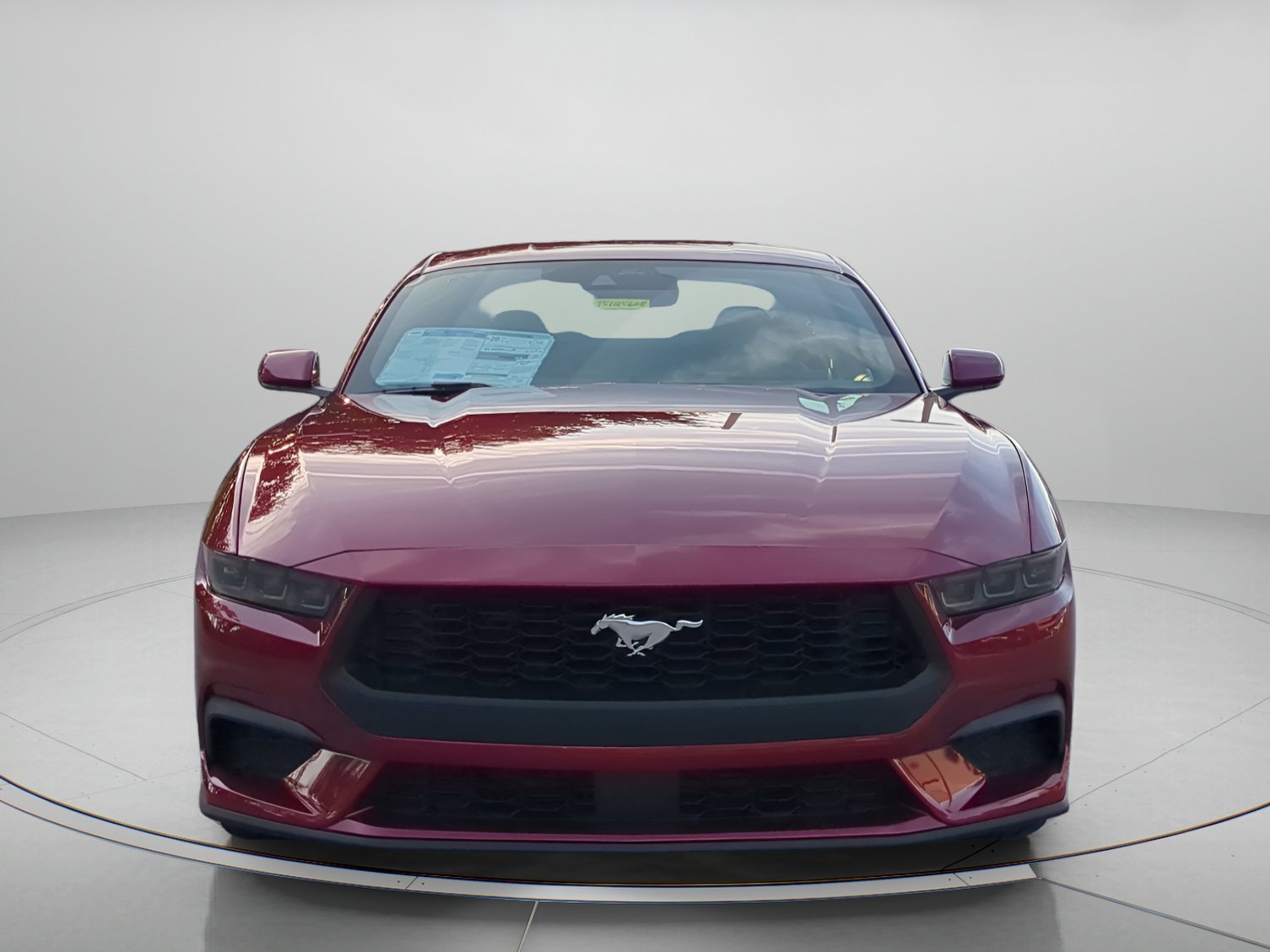 New 2026 Molten Magenta Metallic Tinted Clearcoat Ford EcoBoost® Fastback image 34