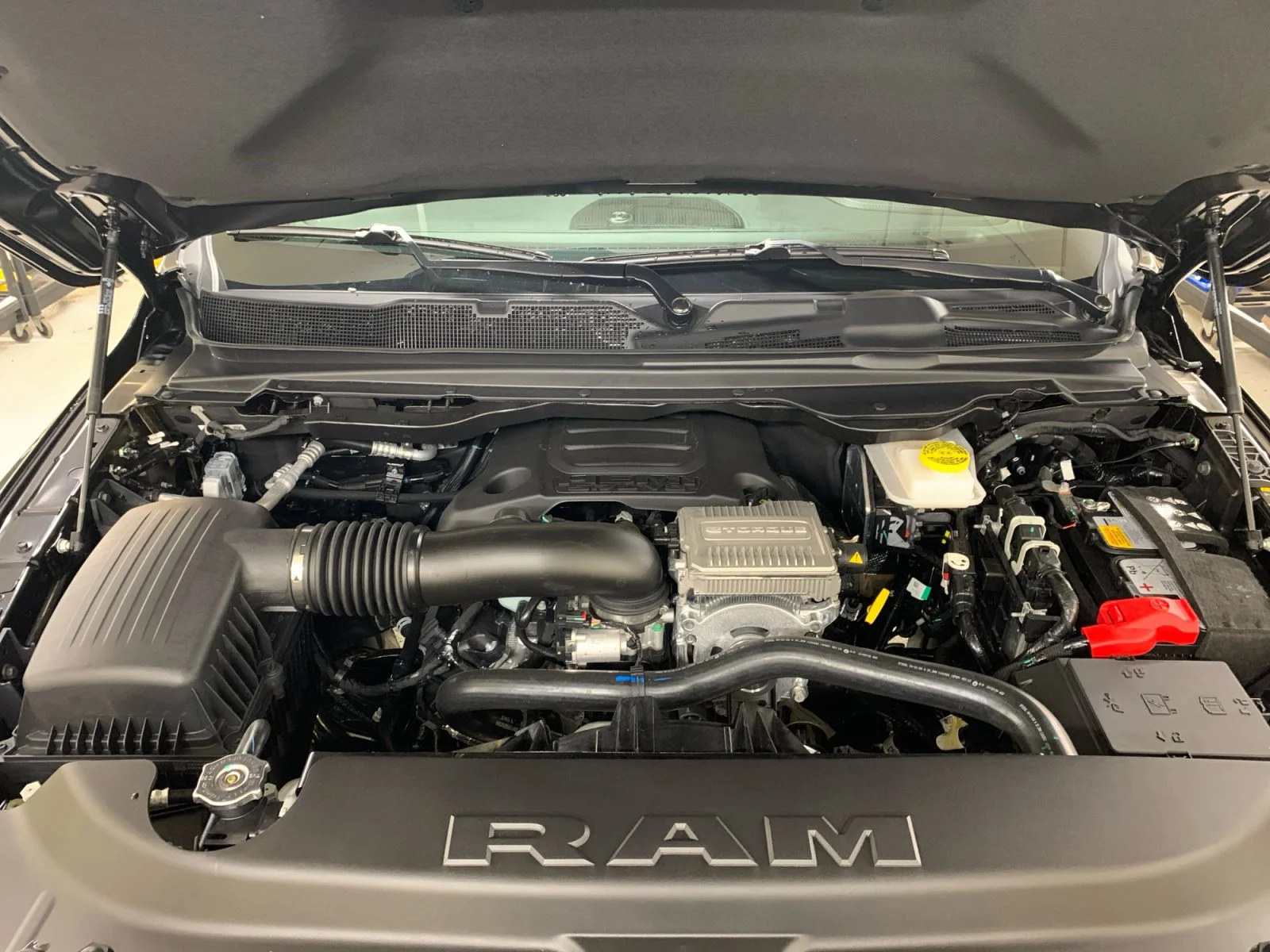 New 2026 Diamond Black Crystal Pearl Ram Rebel image 20