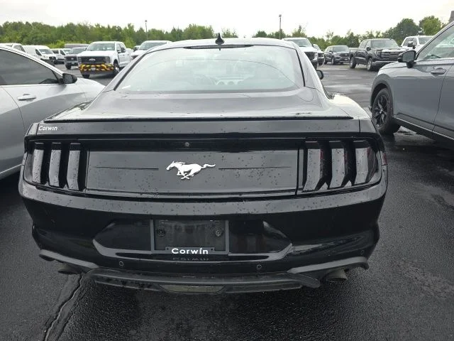 Used 2022 Shadow Black Ford EcoBoost Premium image 5