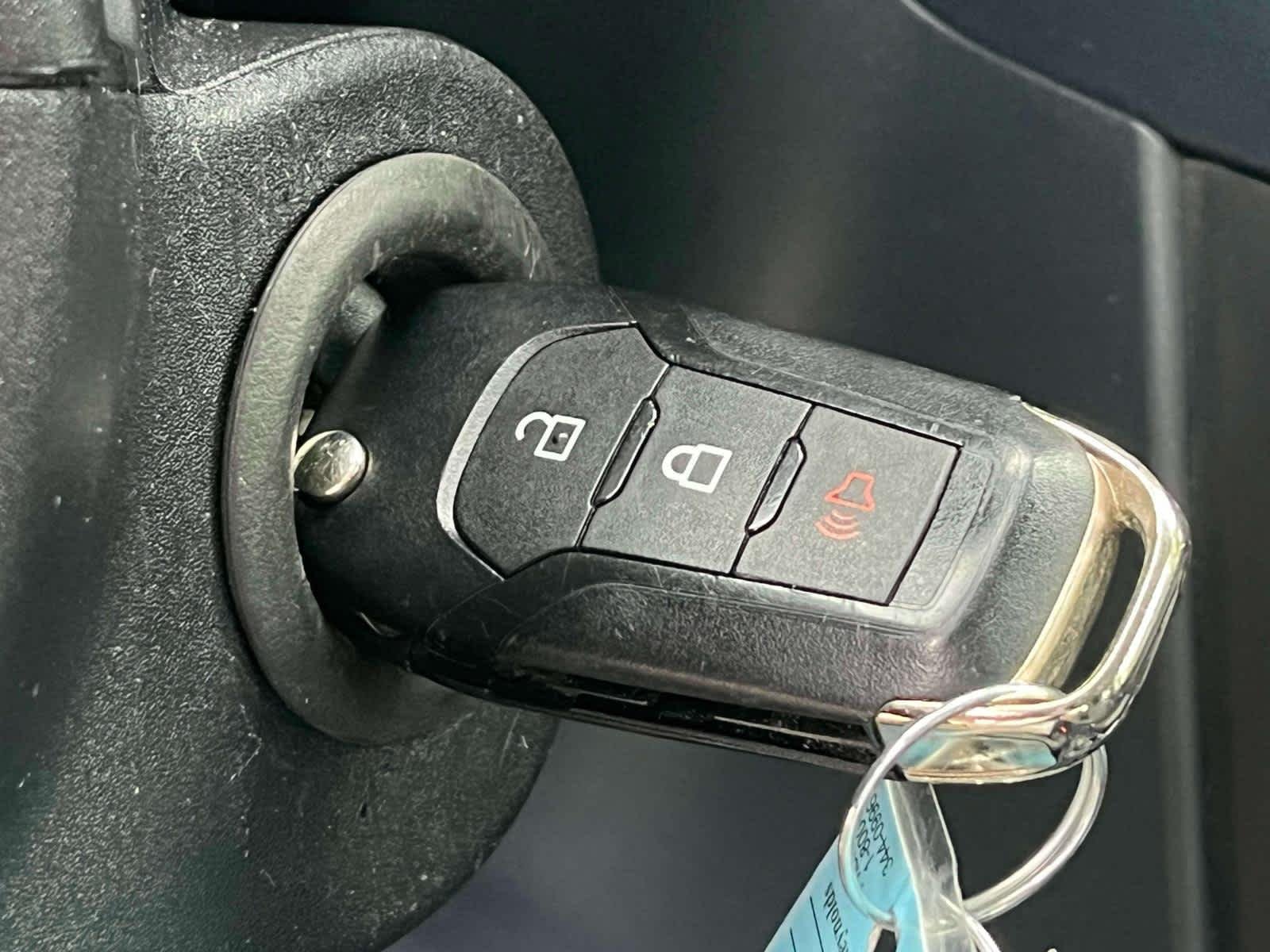 Used 2024 Cactus Gray Ford XL image 4