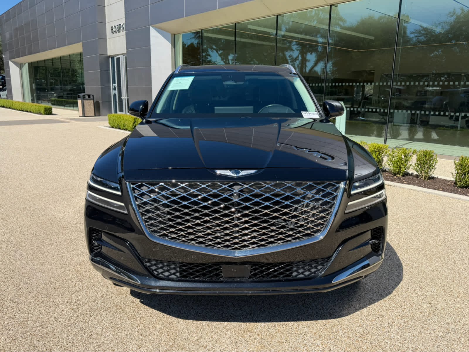 Used 2024 Vik Black Genesis  image 2