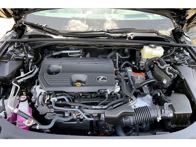 New 2026 Caviar Lexus PREMIUM PLUS image 25