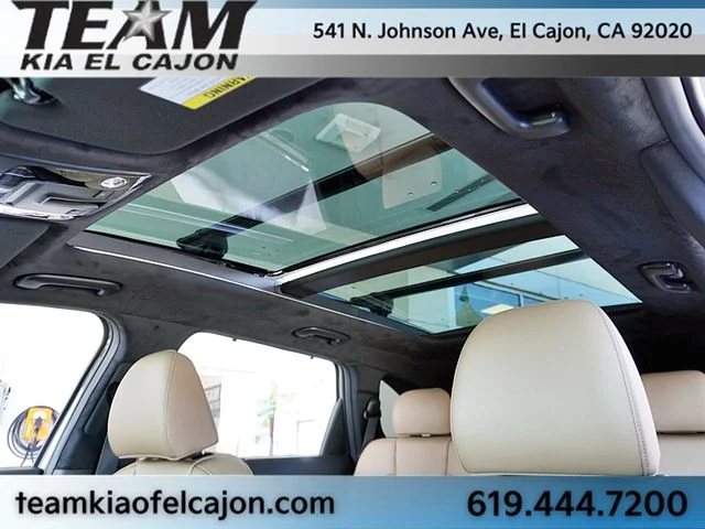 New 2026 Brown Kia X-Line SX Prestige image 20