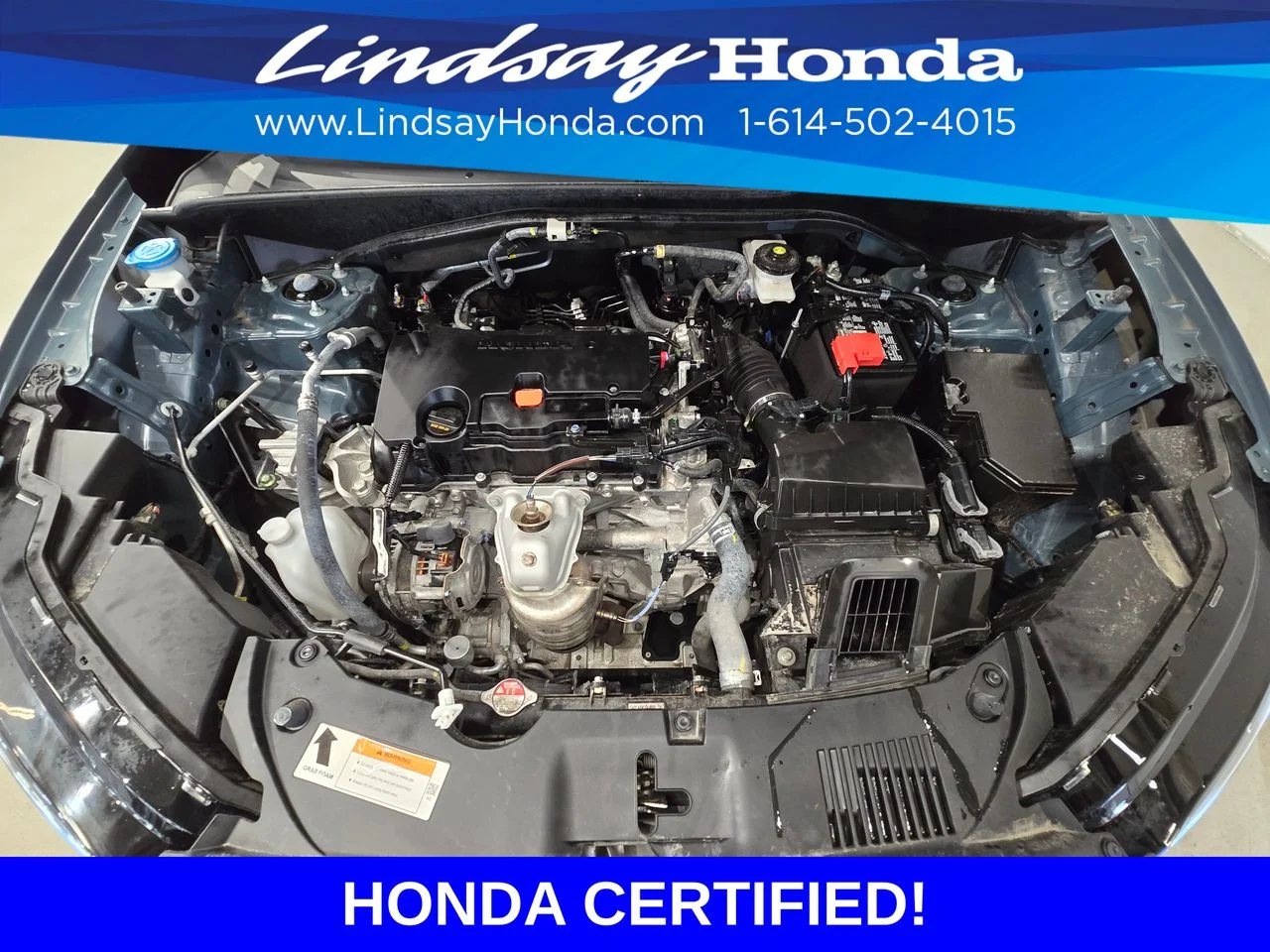 Certified Used 2024 Nordic Forest Pearl Honda Sport image 25