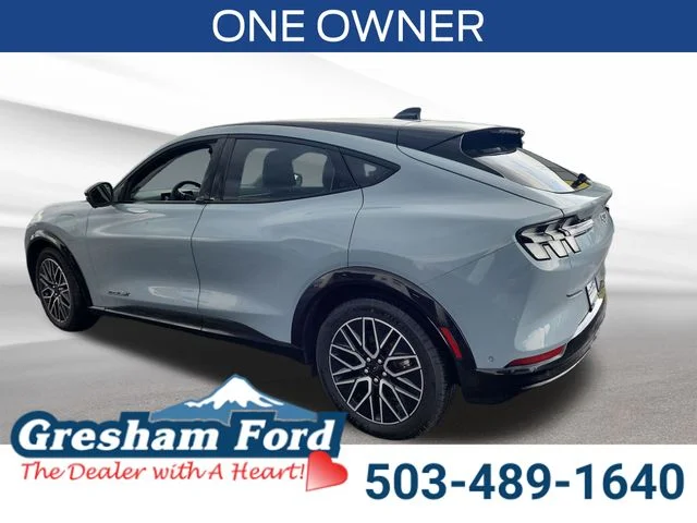 Used 2024 Gray Metallic Ford Premium image 3