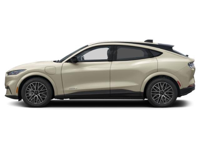 New 2026 Velocity Blue Metallic Ford Premium image 4