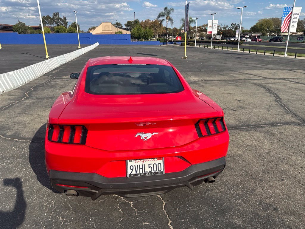 Used 2025 Race Red Ford EcoBoost image 8