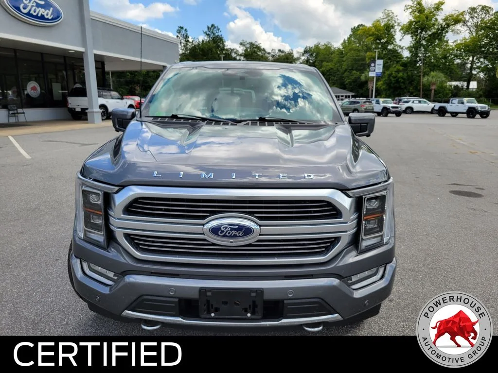 Used 2023 Gray Ford Limited image 9