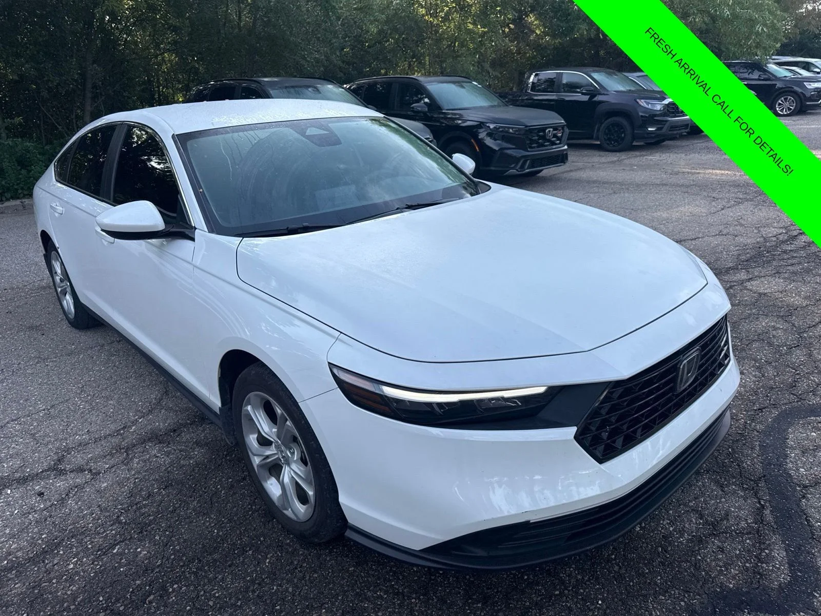 Used 2024 Platinum White Pearl Honda LX image 4