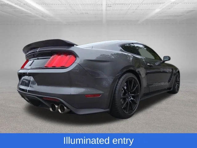 Used 2016 Magnetic Ford Shelby GT350R image 8