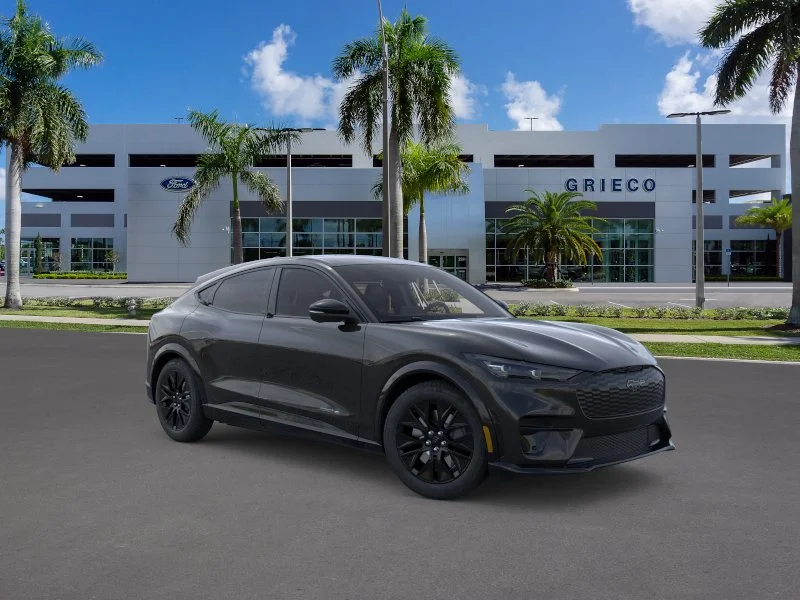 New 2026 Shadow Black Ford Premium image 30