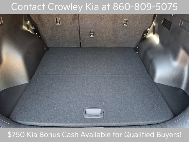 New 2027 Road Rider Brown / Black Roof Kia X-Line image 48