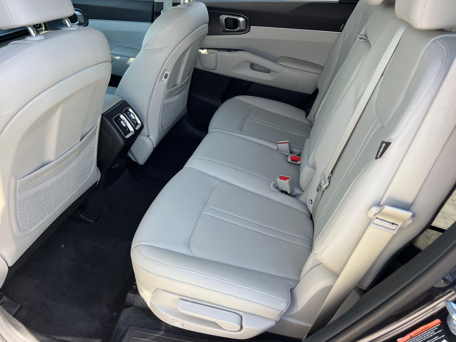 Used 2025 Panthera Metal Kia S image 20