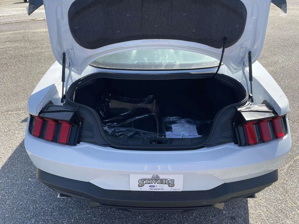 New 2026 White Ford EcoBoost image 10