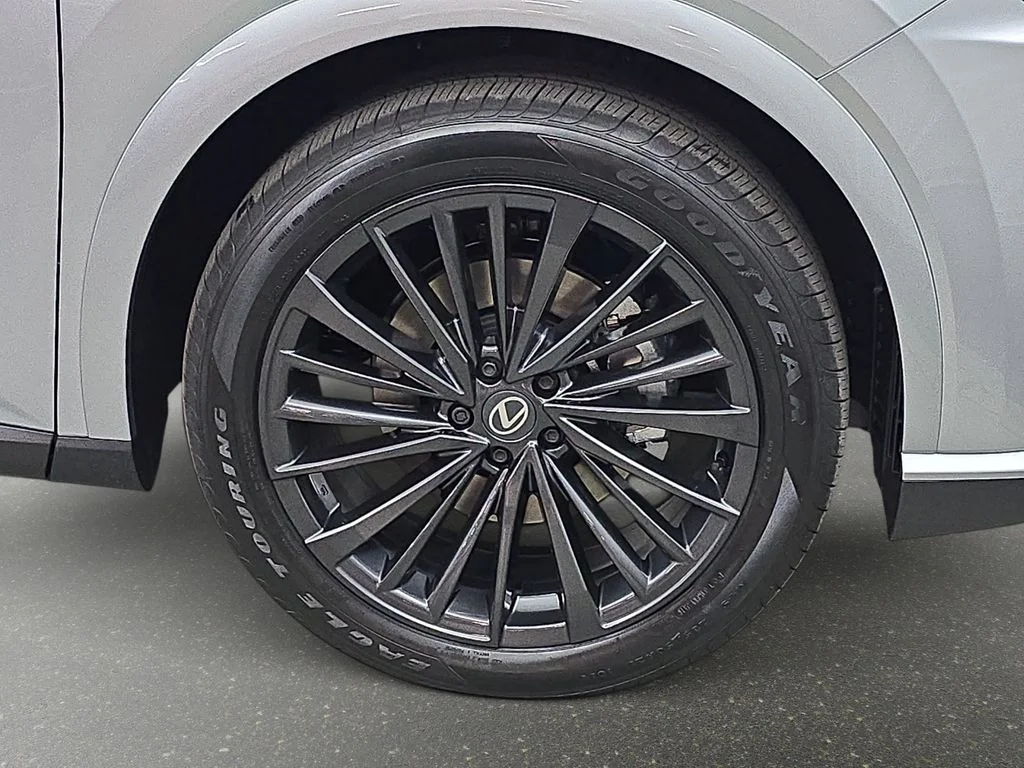 New 2026 Iridium Lexus PREMIUM image 29