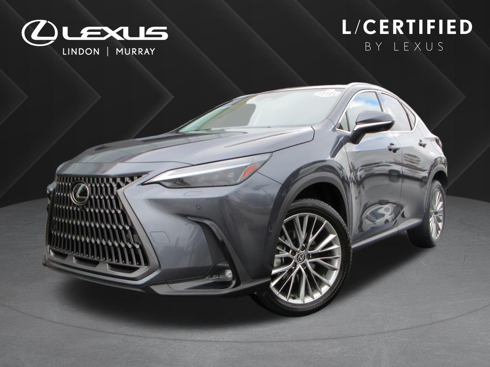 2024 Lexus NX Hybrid 350h