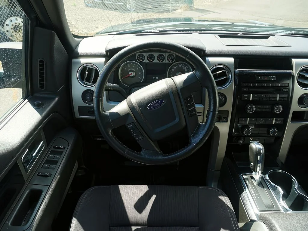 2010 Ford F-150 Platinum - Photo 18