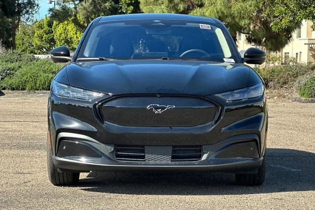 New 2026 Shadow Black Ford Premium image 26
