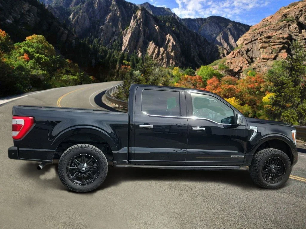Used 2021 Black Ford Platinum image 2