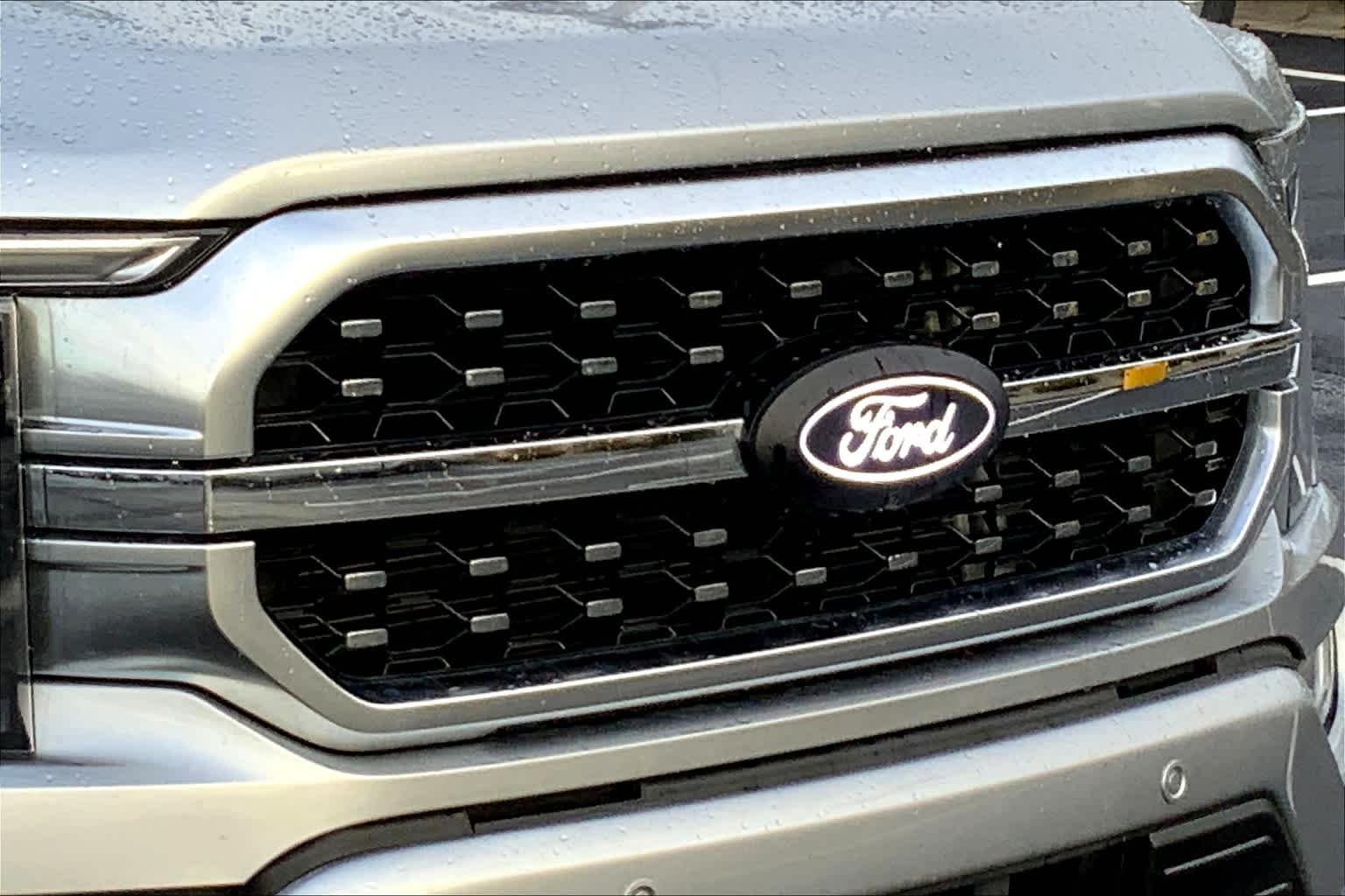 Used 2022 Iconic Silver Metallic Ford Platinum image 26