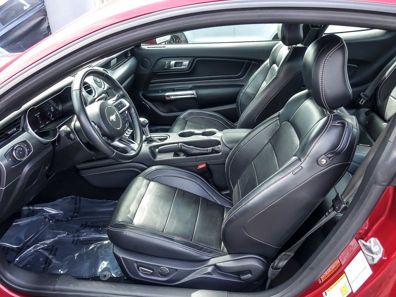 Used 2019 Ruby Red Metallic Tinted Clearcoat Ford EcoBoost Premium image 13