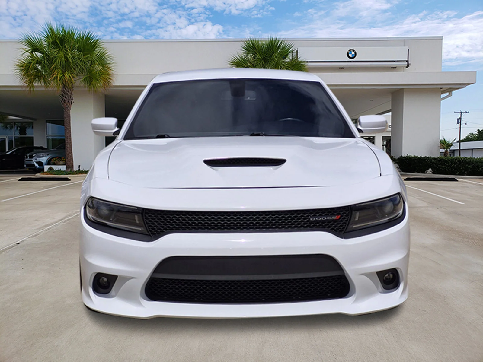 Used 2022 White Knuckle Clearcoat Dodge R/T image 2