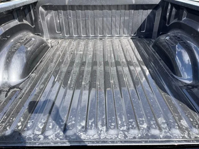 New 2025 Granite Crystal Metallic Clear-Coat Exterior Paint RAM Big Horn/Lone Star image 25