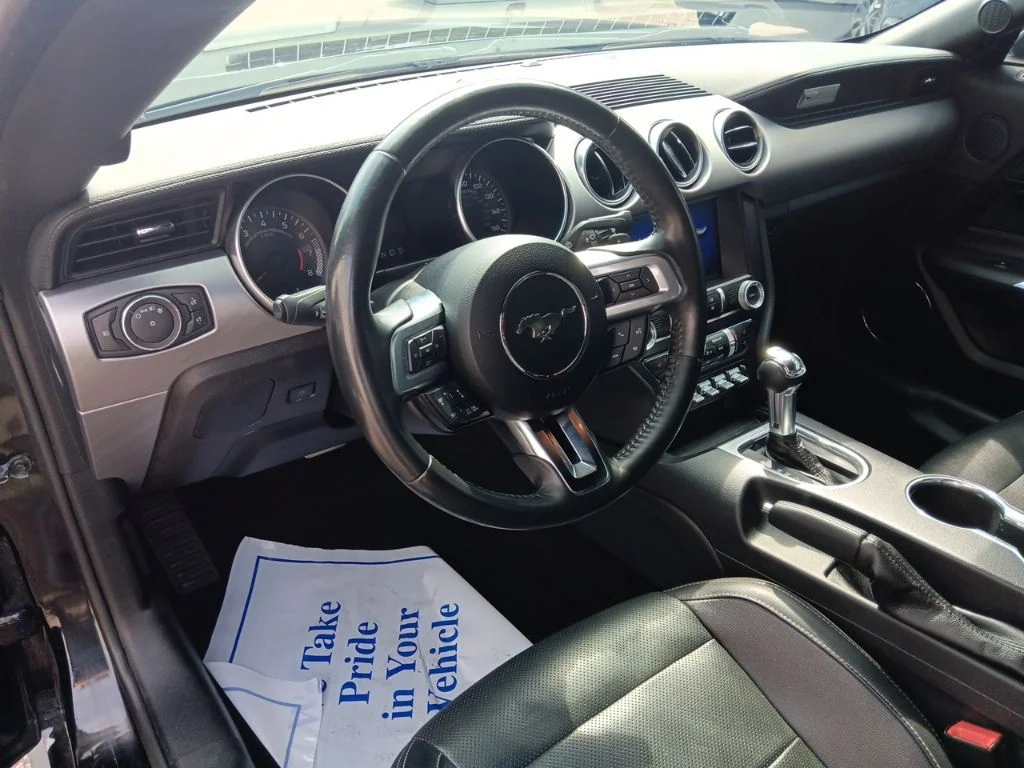 Used 2019 Shadow Black Ford EcoBoost Premium image 19