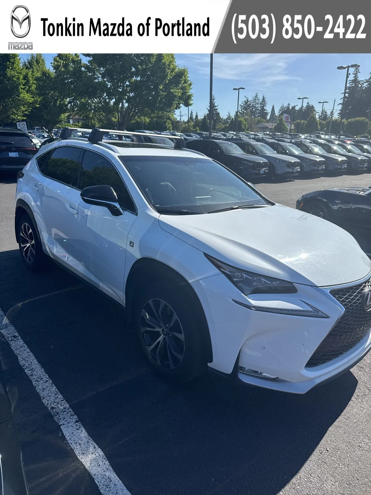 2016 Lexus NX 350 200t F Sport 4x4's photo