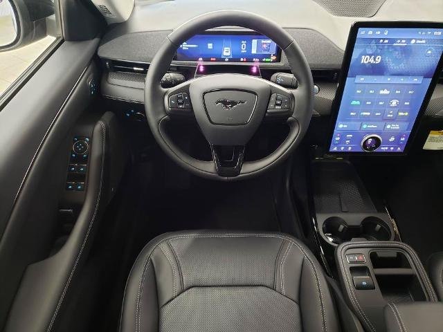 New 2026 Shadow Black Ford Premium image 16