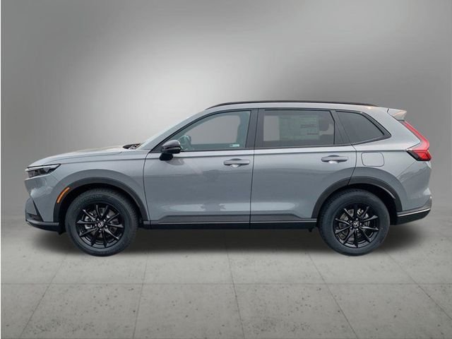 New 2026 Urban Gray Pearl Honda Sport image 2