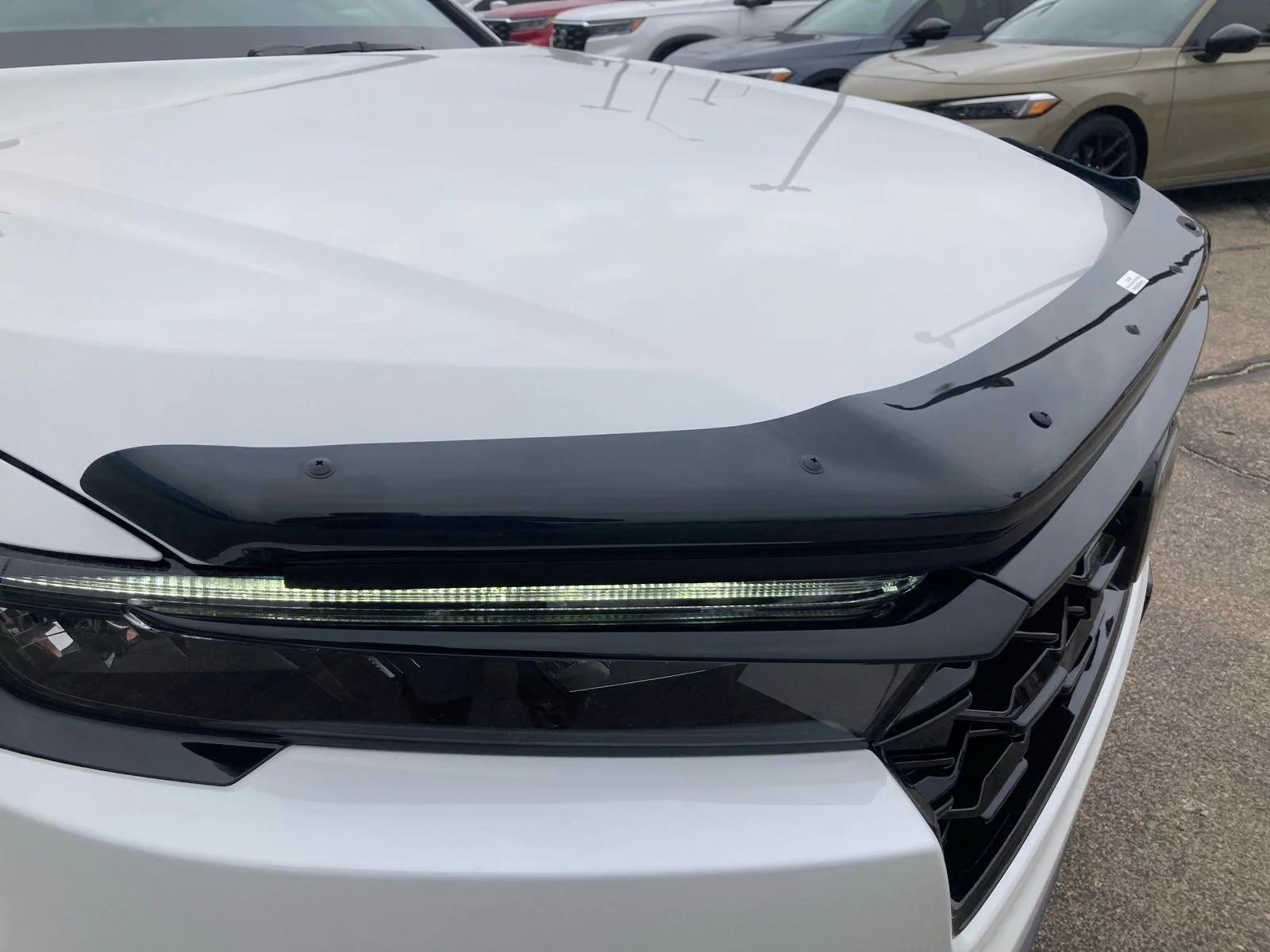 New 2026 Platinum White Pearl Honda Sport-L image 3