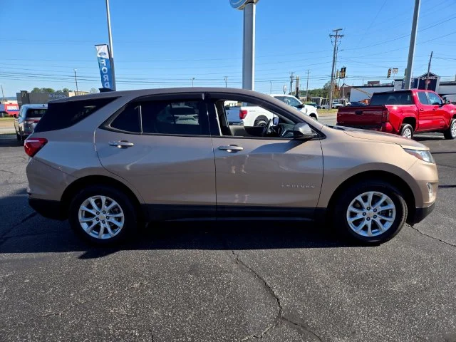 Used 2019 Beige Chevrolet LS image 9