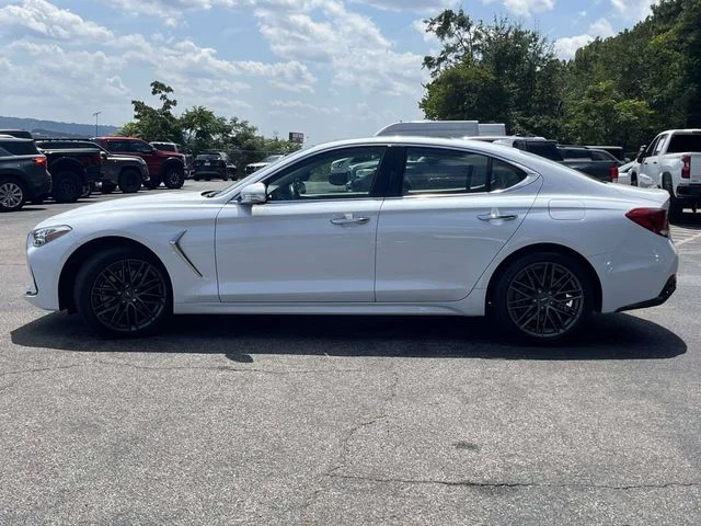 Used 2019 White Genesis 2.0T Advanced image 7