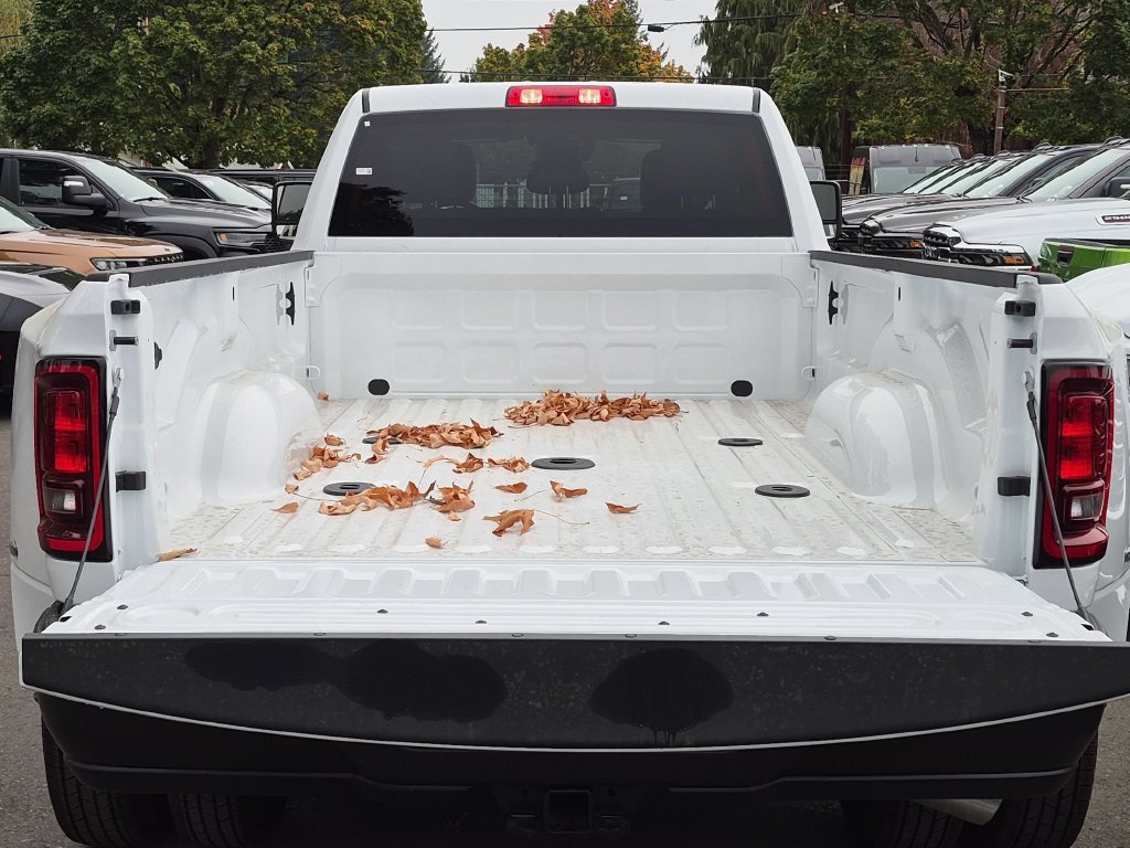 New 2027 Bright White Clear-Coat Exterior Paint RAM Tradesman image 10