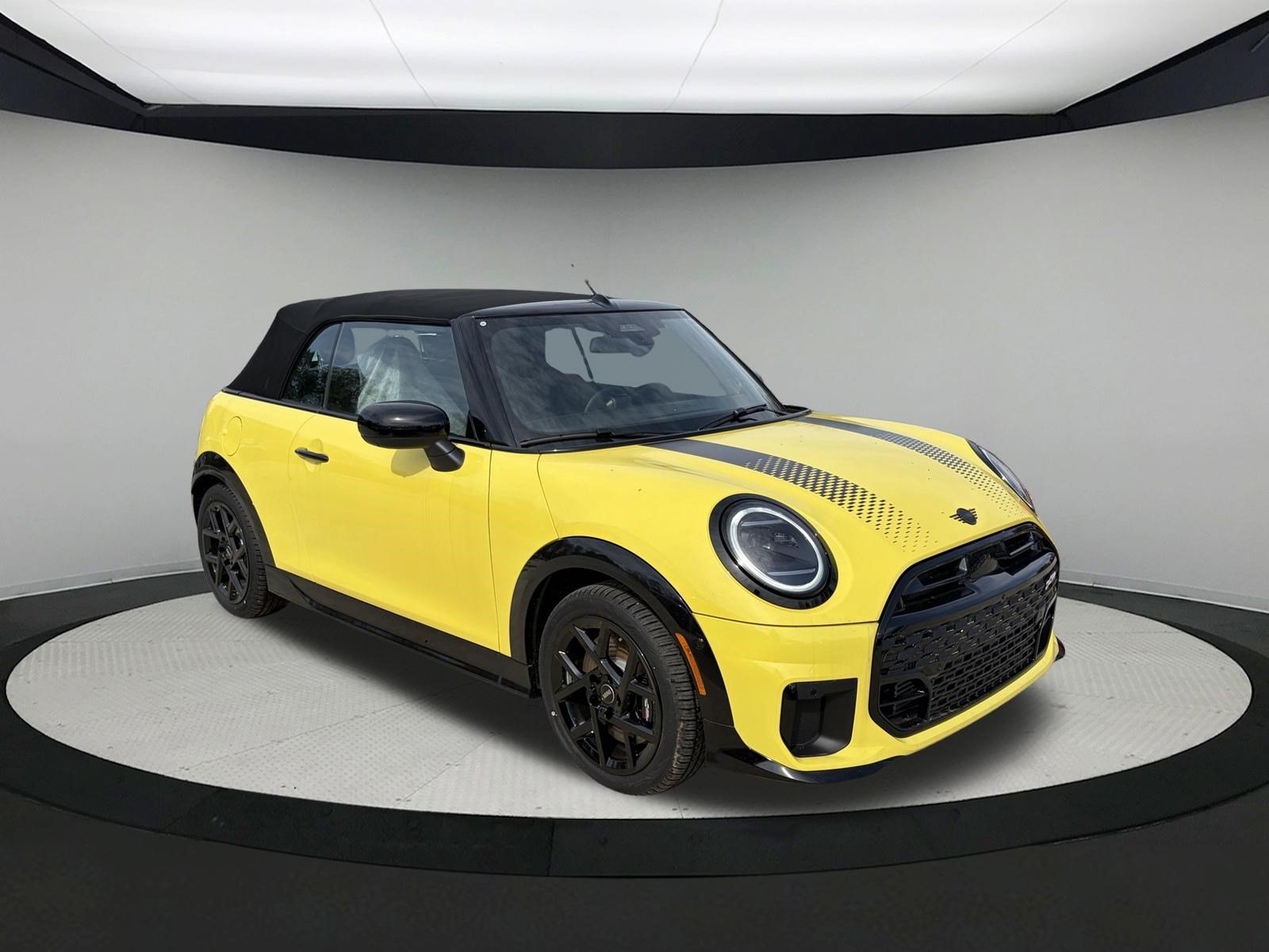 Used 2026 SUNNY SIDE YELLOW MINI Base image 9