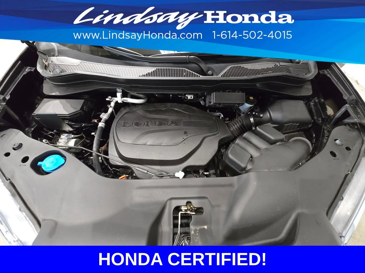 Certified Used 2025 Crystal Black Pearl Honda RTL image 25