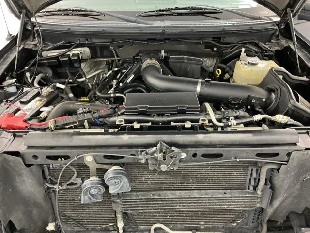 Used 2010  Ford XLT image 25