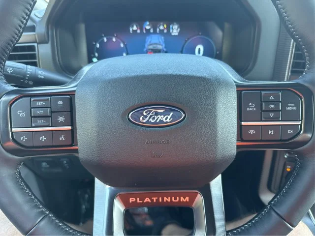 New 2026 Agate Black Metallic Ford Platinum® image 25