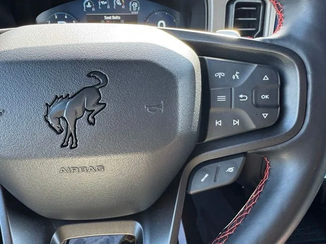 Used 2024 Gray Ford Raptor image 29