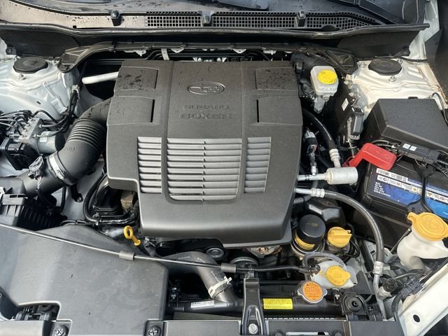 Used 2022 White Subaru Wilderness image 20