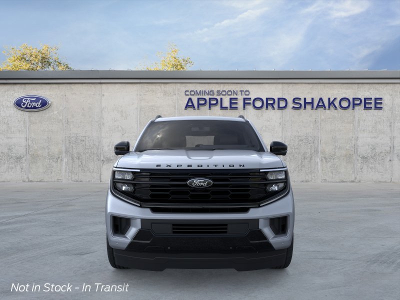 New 2026 Gray Ford Platinum image 6