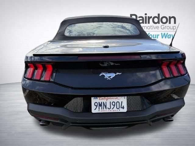 Used 2024 Shadow Black Ford EcoBoost Premium image 13