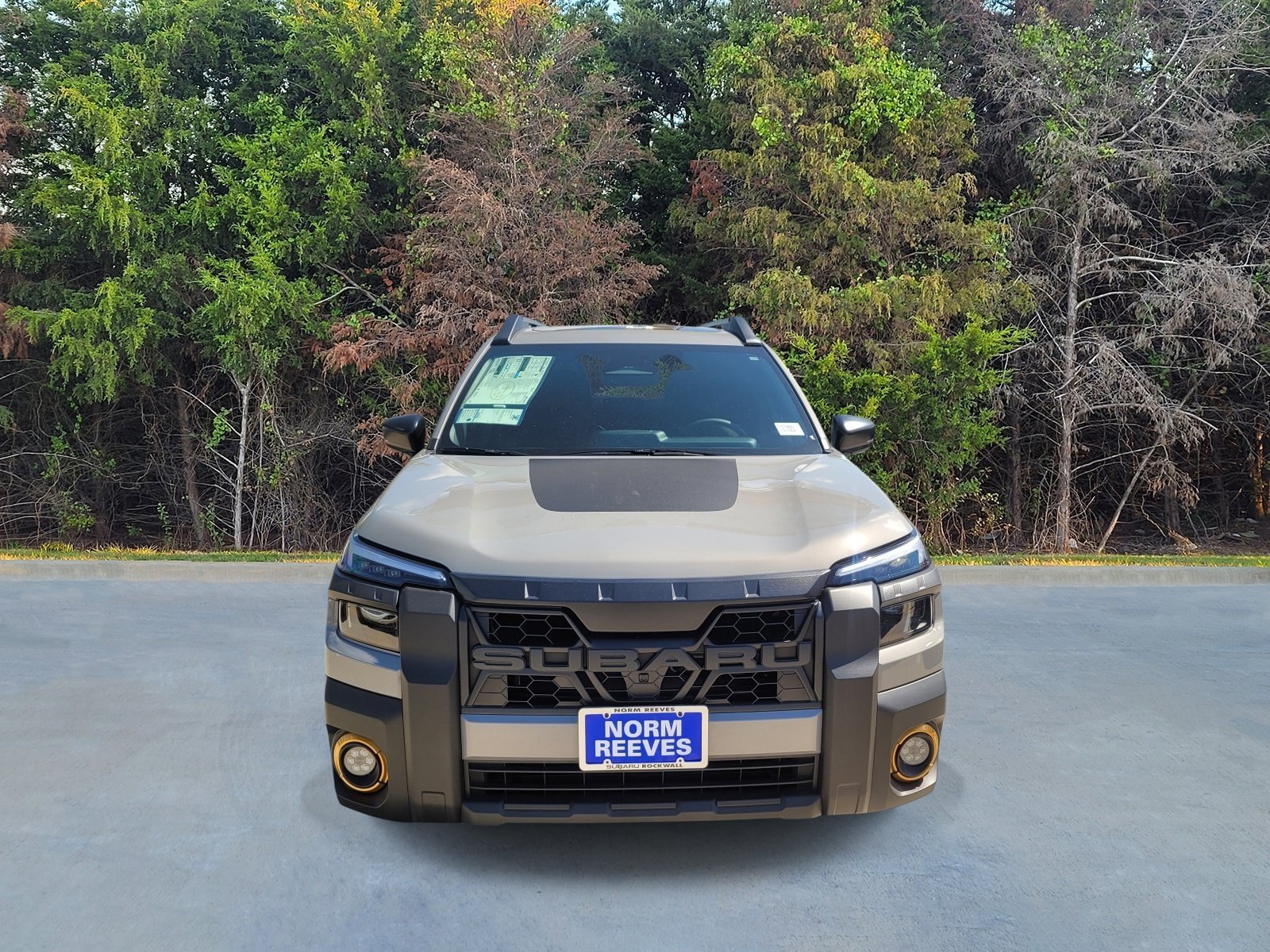 New 2026 RIVER ROCK PEARL Subaru Wilderness image 2