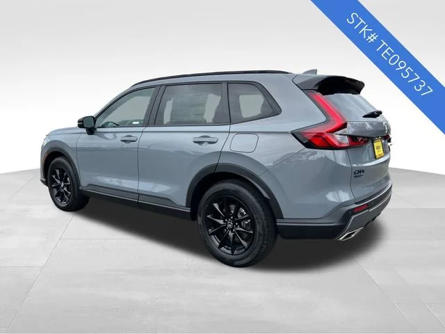 New 2026 Urban Gray Pearl Honda Sport-L image 6