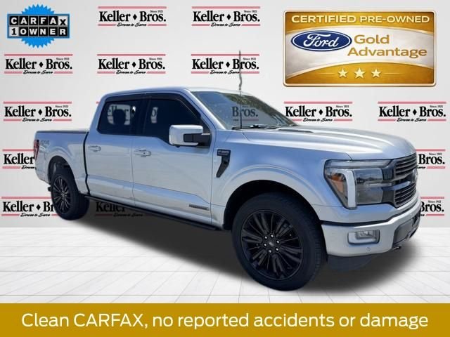 Used 2024 Silver Metallic Ford Platinum image 1